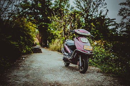 red motor scooter near plant thumbnail