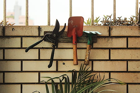 three assorted garden tools on wall thumbnail