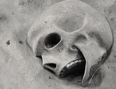 close up photography of skull on concrete thumbnail