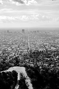 aerial view of trees near buildings thumbnail