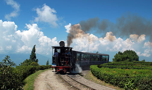 red and gray train on railway thumbnail