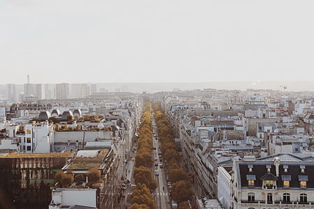 bird's-eye view of roadway between buildings thumbnail