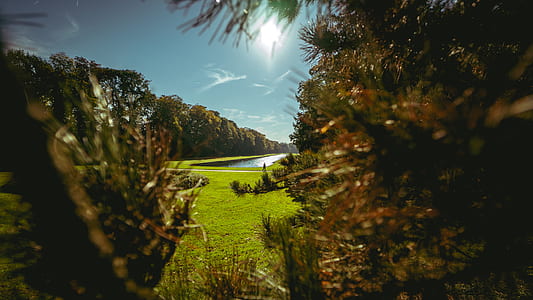 Forest Near Body of Water thumbnail