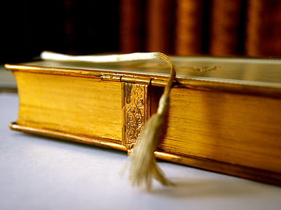 photo of brown hardbound book thumbnail