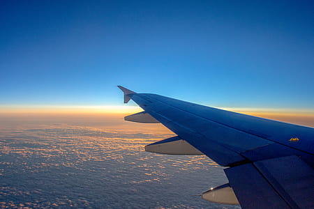 Blue Airplane Wing thumbnail