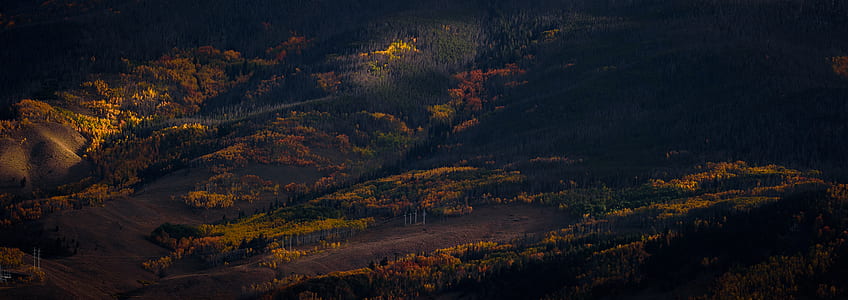 aerial photo of trees on hill thumbnail