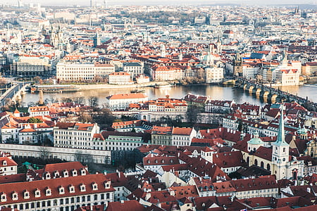 aerial photography of city building thumbnail