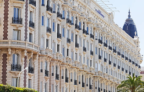 concrete building in front of palm tree thumbnail