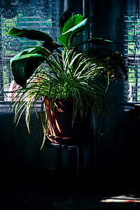 nature, space, dark, pot thumbnail