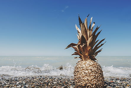 rule of thirds photography of pineapple beside body of water thumbnail