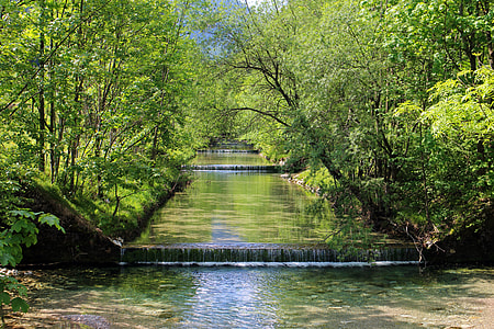 body of water in between trees photo thumbnail