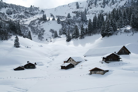brown houses on snow field near mountain thumbnail