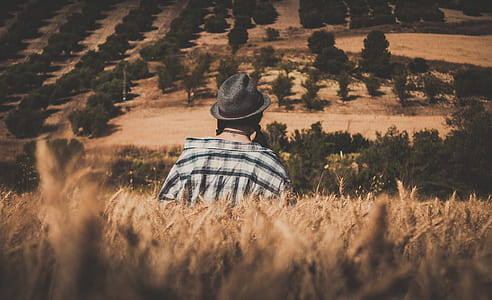 selective focus photography of woman wearing hat sitting on wheat field thumbnail