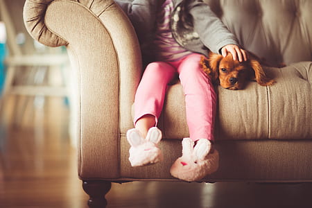 girl beside tan Cavalier King Charles spaniel puppy inside the room thumbnail