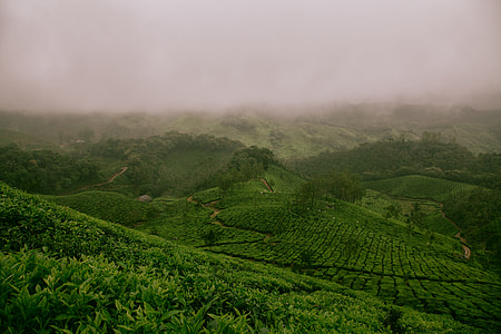 green field thumbnail