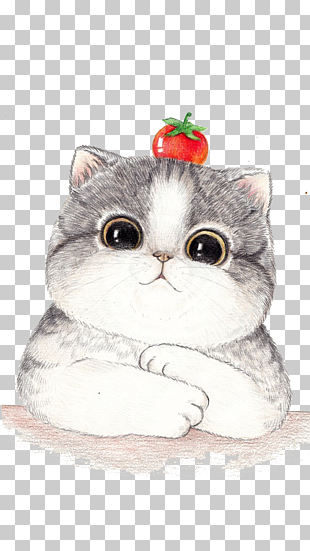 Cat Cartoon Drawing Illustration, Big cat face painted, white kitten illustration PNG clipart