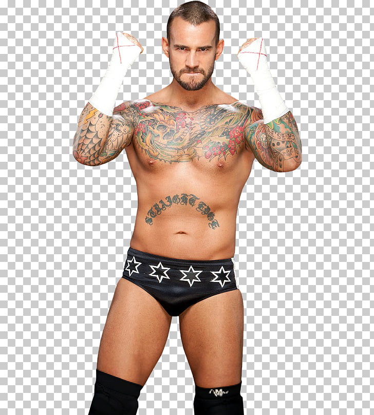 CM Punk WWE Intercontinental Championship Martial arts WWE Raw Tag Team Cha...