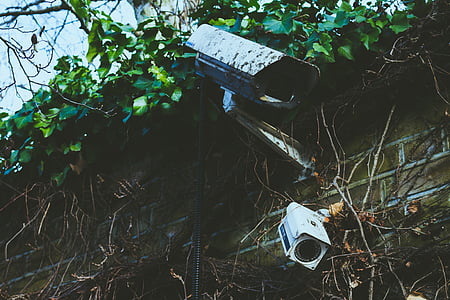two bullet type IP cameras on wall thumbnail