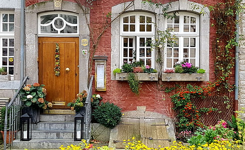 yellow petaled flowers near red building thumbnail