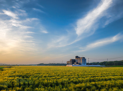 gray factory on green grass field thumbnail