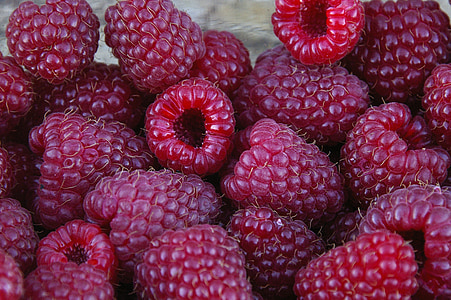 red raspberries thumbnail