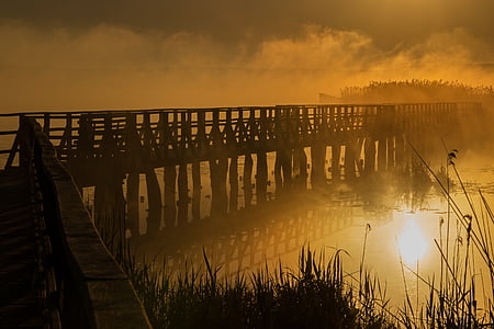 bridge covered by fog during golden hour thumbnail