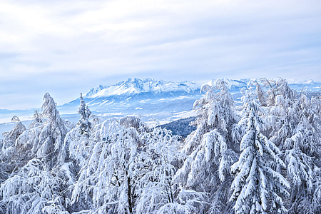 Winter In The Mountains, Mountain Peaks thumbnail