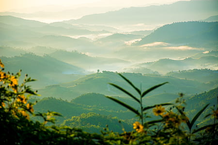 mountain covered grass with fog thumbnail