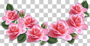 Rose Flower Pink , Pink Roses Decoration , pink rose illustrations PNG clipart
