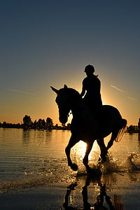 woman and horse silhouette during sunset thumbnail