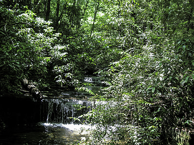 Waterfall on Carrick Creek Nature Trail, in Table Rock State Park in South Carolina thumbnail