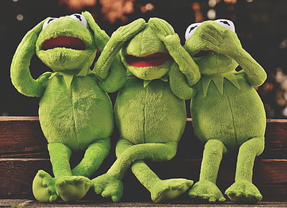Kermit the Frog photo thumbnail