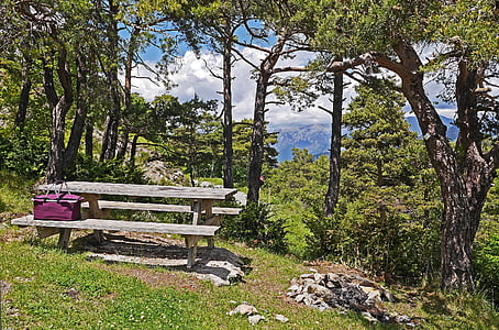 purple picnic basket on brown wooden picnic table near trees at daytime thumbnail