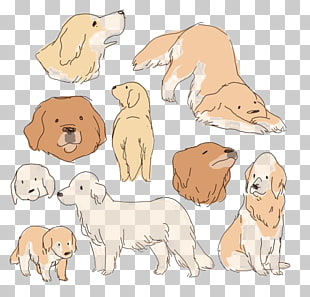 golden retriever labrador retriever shiba inu miniature pinscher