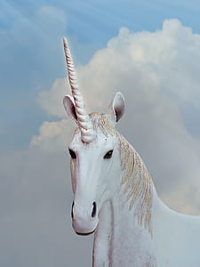 illustration of white unicorn thumbnail