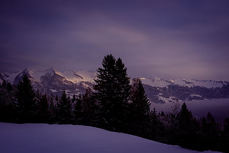 mountain range with snow with pine trees thumbnail
