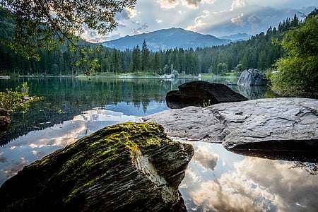 photo of body of water surrounded by green pine trees thumbnail