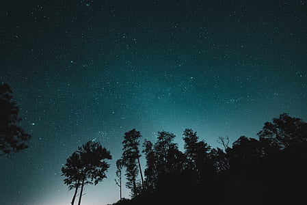 silhouette of trees under blue teal sky thumbnail