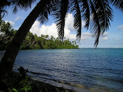 blue body of water near green palm trees thumbnail