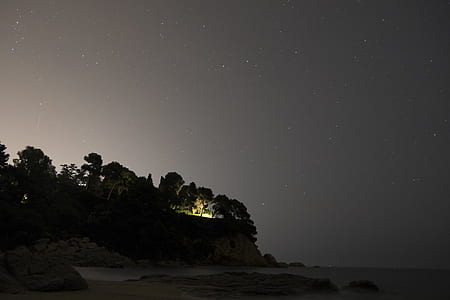 silhouette of trees and ocean water during nigghttime thumbnail