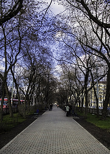Lenina street boulevard Yekaterinburg, Russia thumbnail