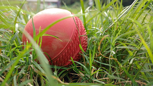 red cricket ball on grass thumbnail