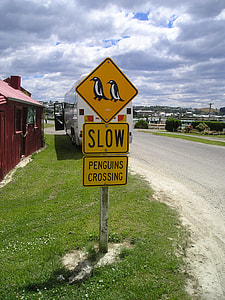 slow penguins crossing road sign thumbnail