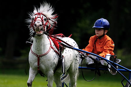 photo of child riding chariot thumbnail