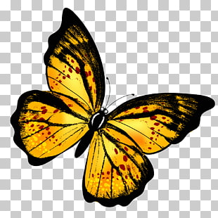 Butterfly , Yellow Transparent Butterfly , yellow and black butterfly illustration PNG clipart