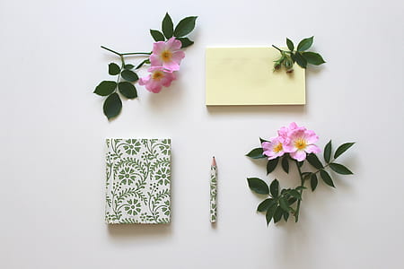 pink petaled flowers near book and pencil thumbnail