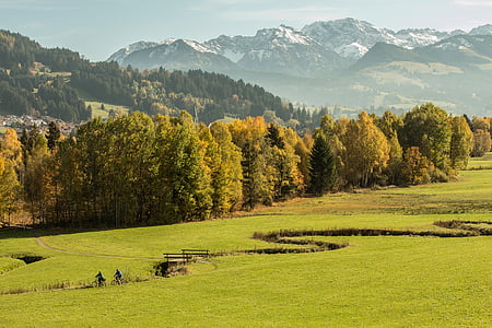 aerial view of green grassland thumbnail