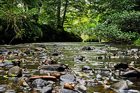 black stones with body of water surrounded by trees during daytime thumbnail