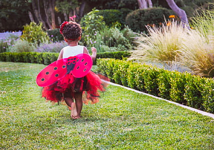 girl wearing white and pink butterfly costume near green leaved plant thumbnail