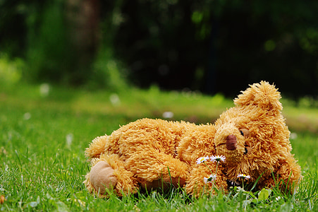 brown bear plush toy lying on green grass at daytime thumbnail
